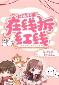 海贼王草帽海贼团成员