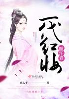 男主角九皇子赵煦