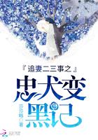 花都九妃女主有多少