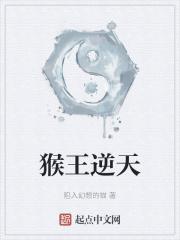 生育率0.84什么意思