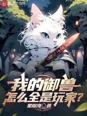 重生退婚妻 汤圆