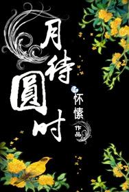 镇北王是好人还是坏人