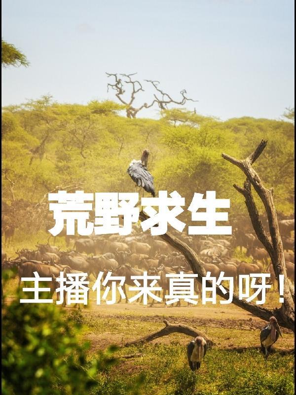 摄政王你家王妃又退婚了